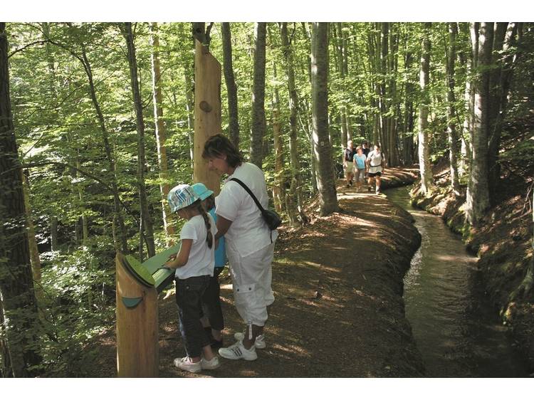 Photo 14 Guesthouse - Le belvédère de l'Obiou