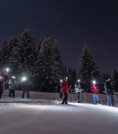 Nighttime walk - Snowshoeing
