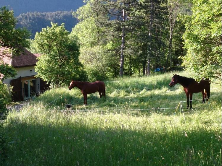 Photo 23 La Casa des Achards - Chambres d'hôtes