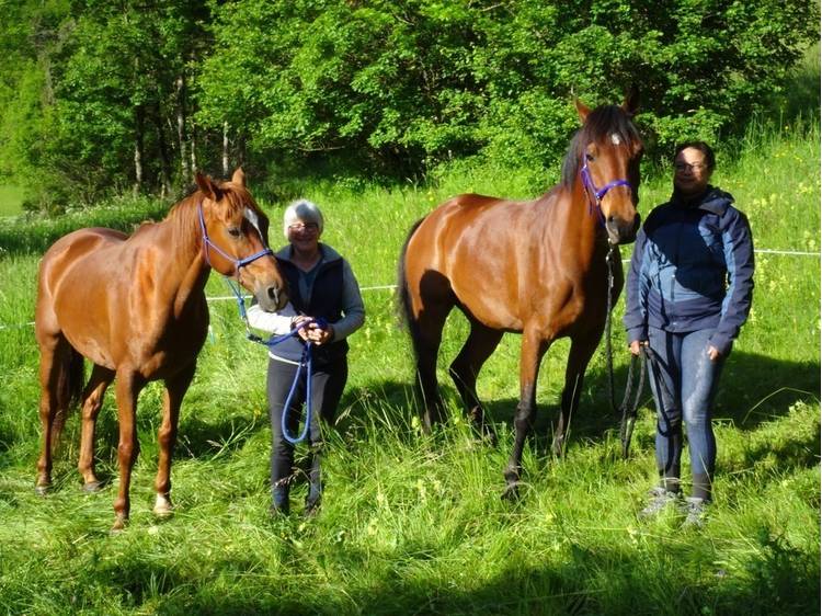 Photo 20 La Casa des Achards - Chambres d'hôtes