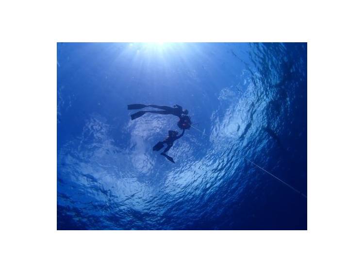 Photo 1 Apnée Libre