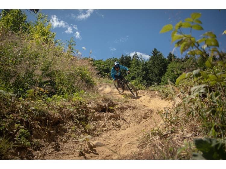 Photo 1 Les sentiers du Bike Park
