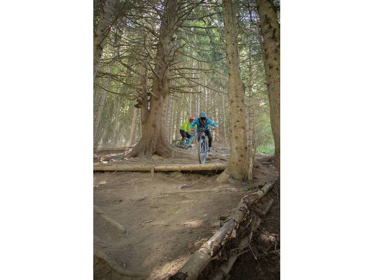 Photo 5 Les sentiers du Bike Park