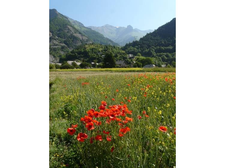 Photo 1 Parcours piéton: Promenade sonore du Valbonnais