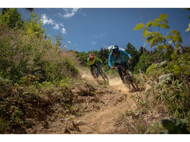 Photo 1 Bike Park Alpe du Grand Serre