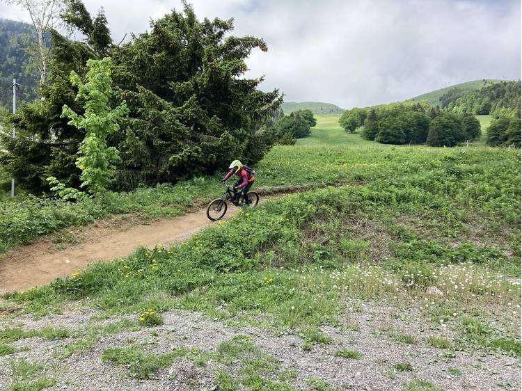 Photo 4 Bike Park automne