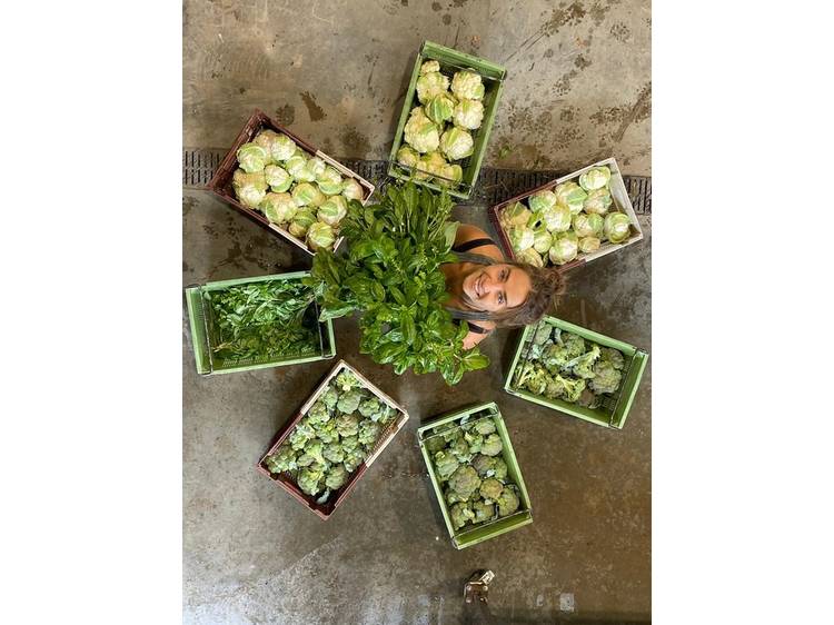 Photo 4 Ferme des 3 saules