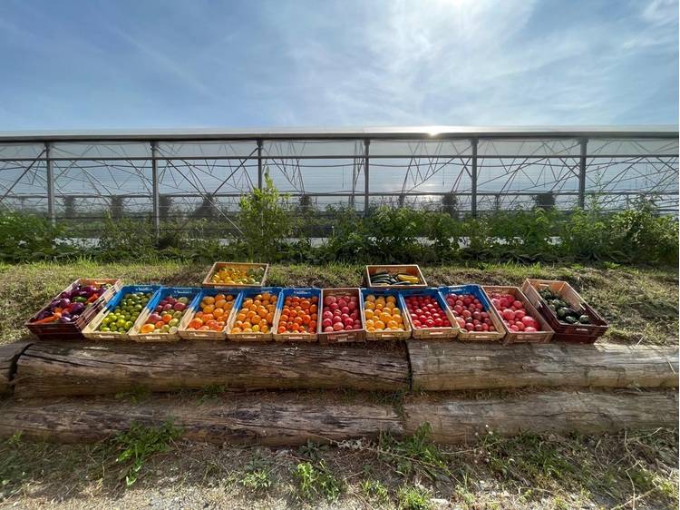 Photo 5 Ferme des 3 saules