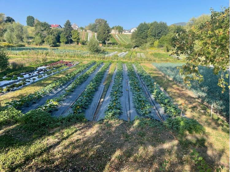 Photo 8 Ferme des 3 saules