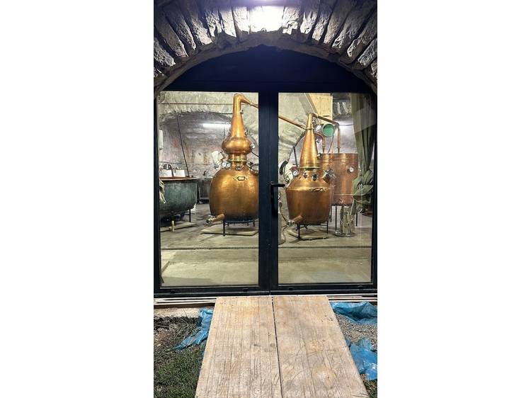 Photo 3 Visite de la Distillerie Terre Froide