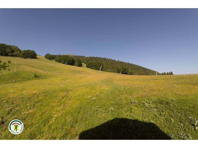 Photo 16 Gite du Grand Serre