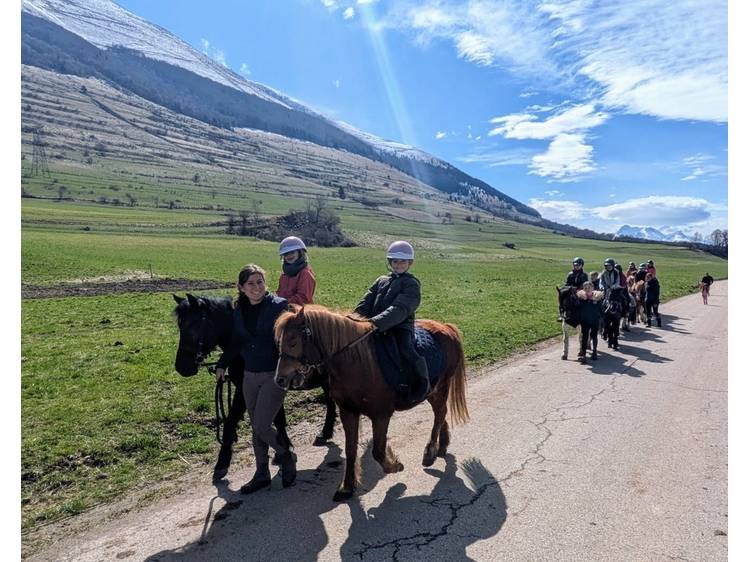 Photo 2 Balades & initiation à l'équitation - Ecurie du Serre