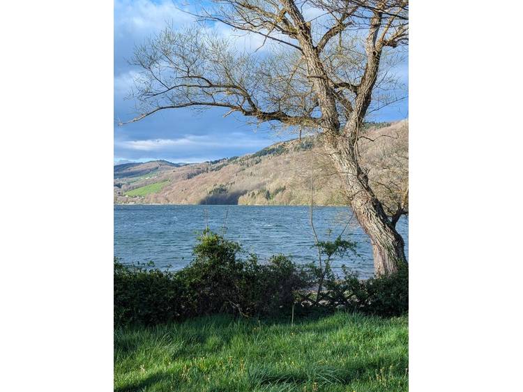 Photo 13 Grand hôtel du Lac