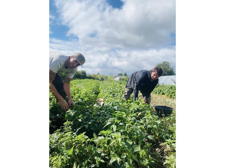 Photo 7 Visite Guidée de la Ferme des Vents