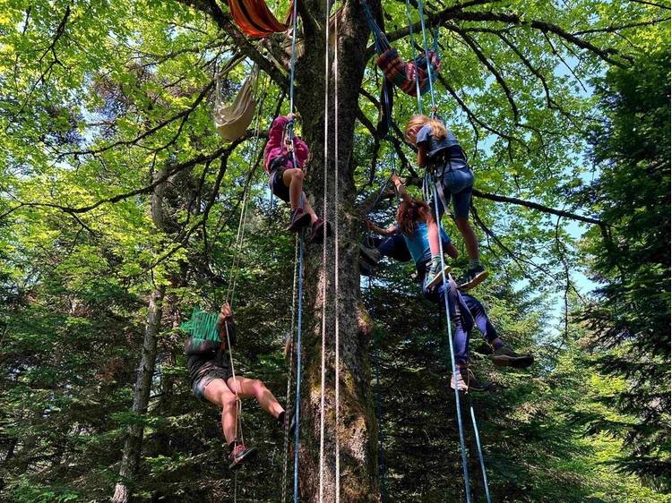 Photo 4 Nuit des forêts en Matheysine