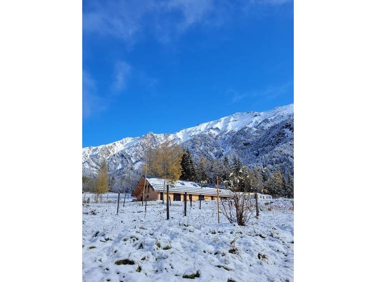 Photo 2 Anniversaire à la ferme