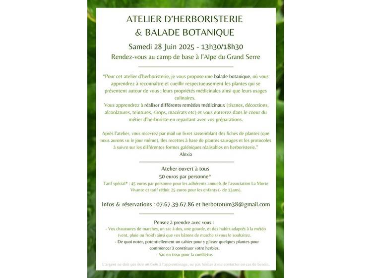 Photo 2 Atelier Herboristerie & Balade Botanique