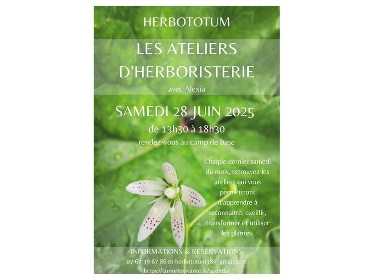 Photo 1 Atelier Herboristerie & Balade Botanique