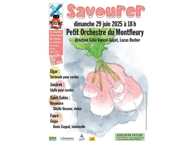 Photo 1 Concert Le Petit Orchestre du Montfleury