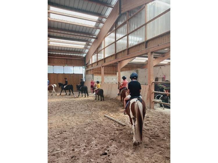 Photo 1 Stage d'équitation - Ecurie du Serre