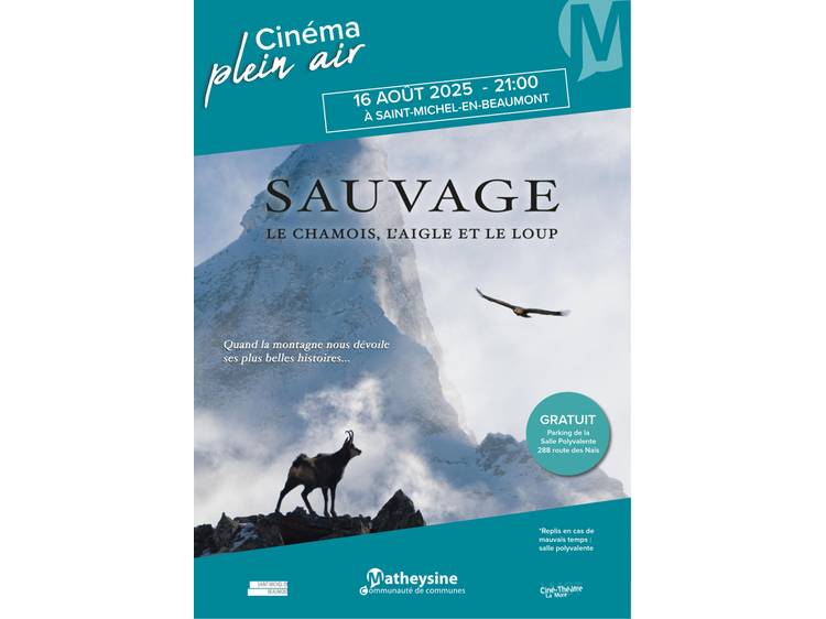 Photo 1 Cinéma Plein Air : Sauvage, le chamois, l'aigle et le loup
