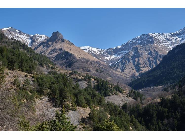 Photo 1 Rdv avec une animatrice du Parc national des Ecrins