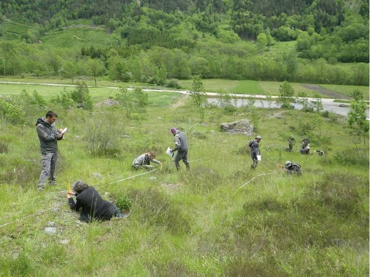 Foto 1 Projection-causerie : les prairies de fauche