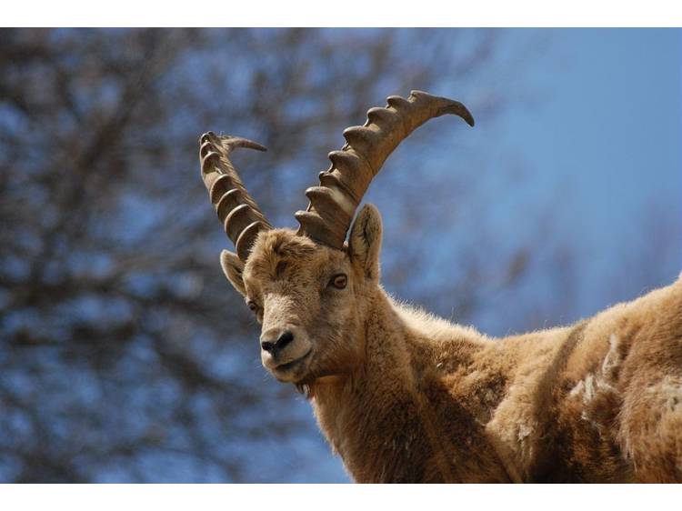 Photo 5 Parc National des Ecrins