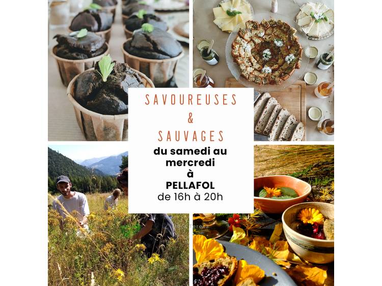 Photo 1 L'apéro sauvage