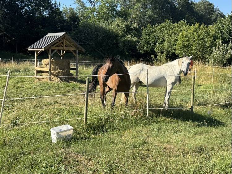 Photo 26 Ferme de Jonan Guesthouse