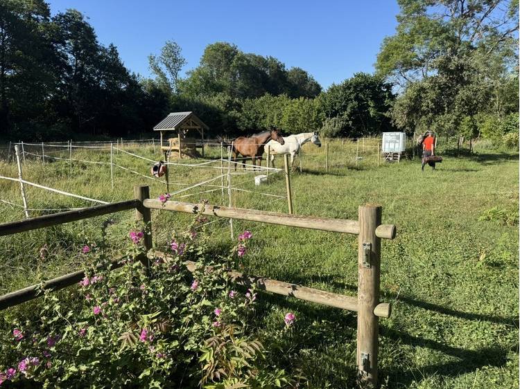 Photo 28 Ferme de Jonan Guesthouse