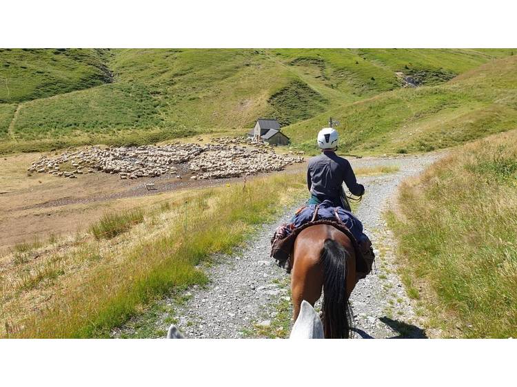 Photo 32 Ferme de Jonan Guesthouse