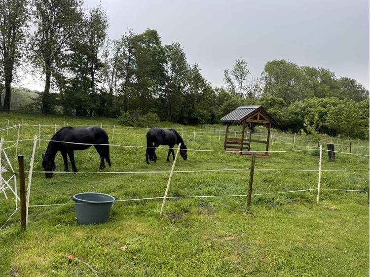 Photo 33 Ferme de Jonan Guesthouse