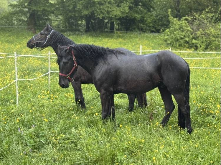 Photo 34 Ferme de Jonan Guesthouse