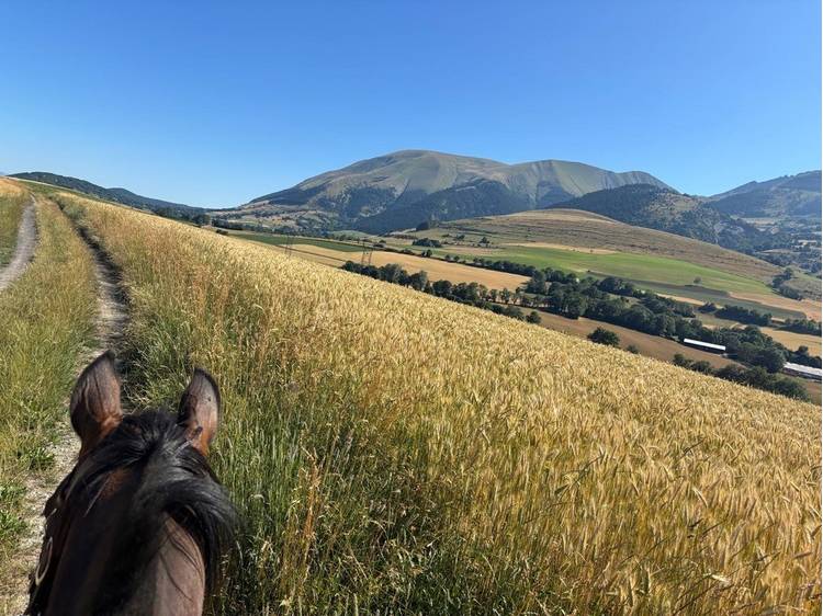 Photo 36 Ferme de Jonan Guesthouse