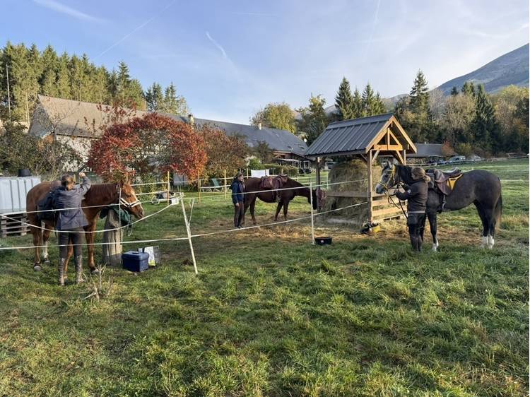 Photo 37 Ferme de Jonan Guesthouse