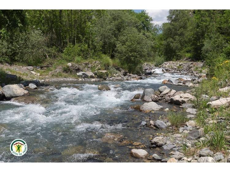 Photo 22 Le coin perdu