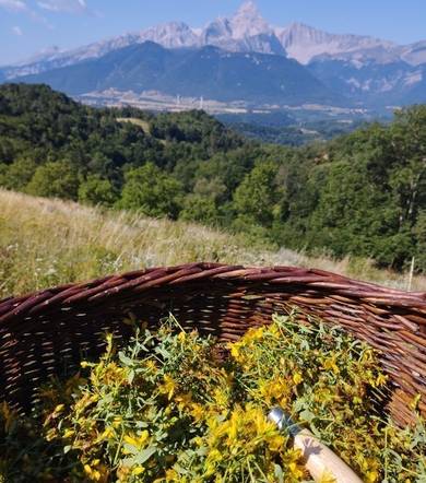 Herbes & butineries