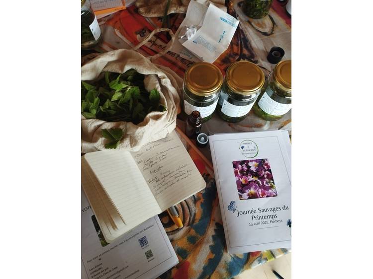 Photo 4 Herbes & butineries