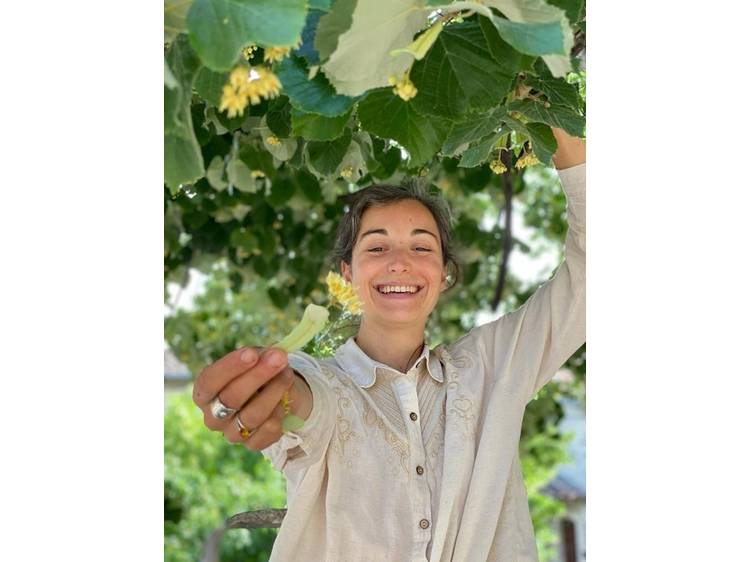 Photo 5 Herbes & butineries