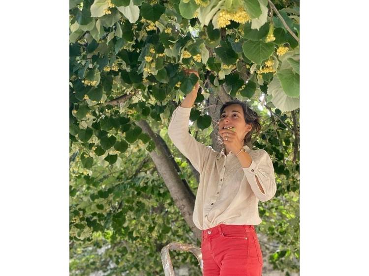 Photo 6 Herbes & butineries