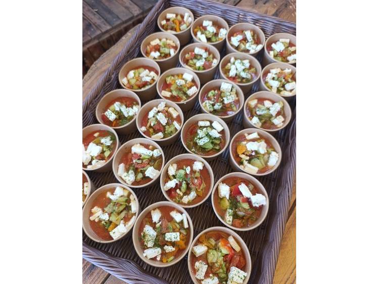 Photo 16 La petite dodue