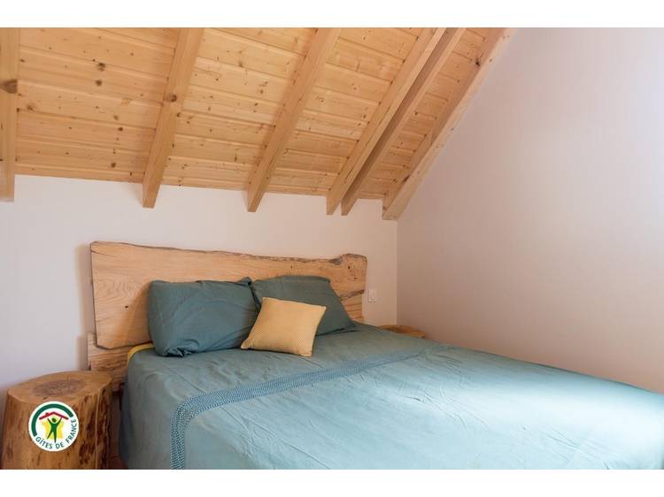 Photo 13 L' Asphodèle