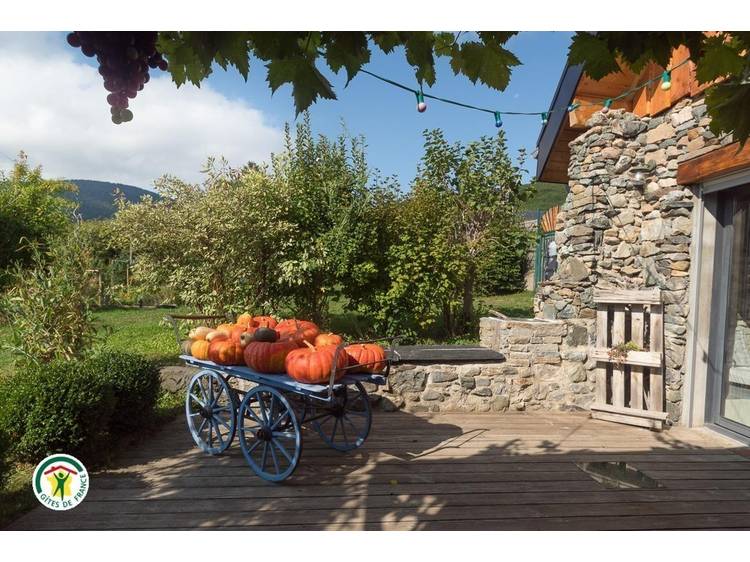 Photo 17 L' Asphodèle