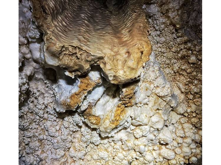 Photo 5 Via Souterrata de la Tune – Découverte avec Ecrins Spéléo Canyon