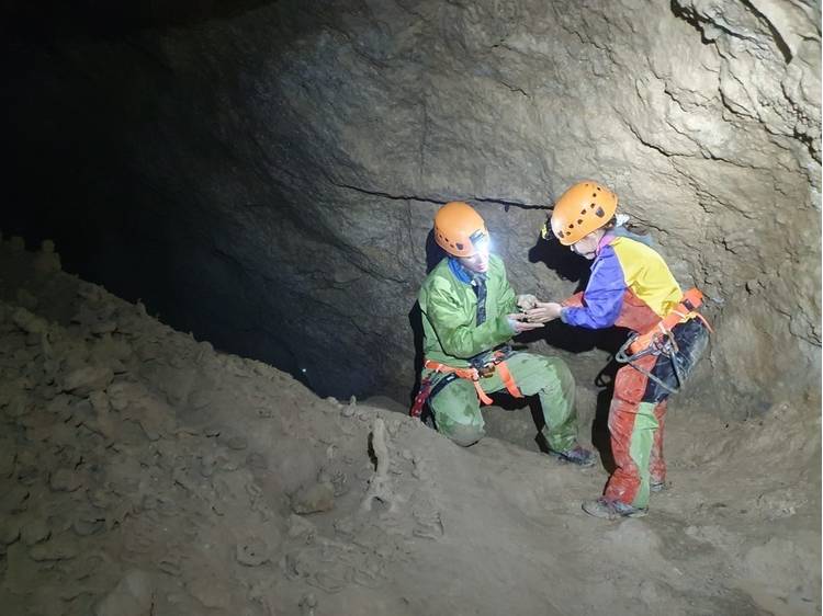 Photo 14 Spéléologie pour tous niveaux avec Écrins Spéléo Canyon
