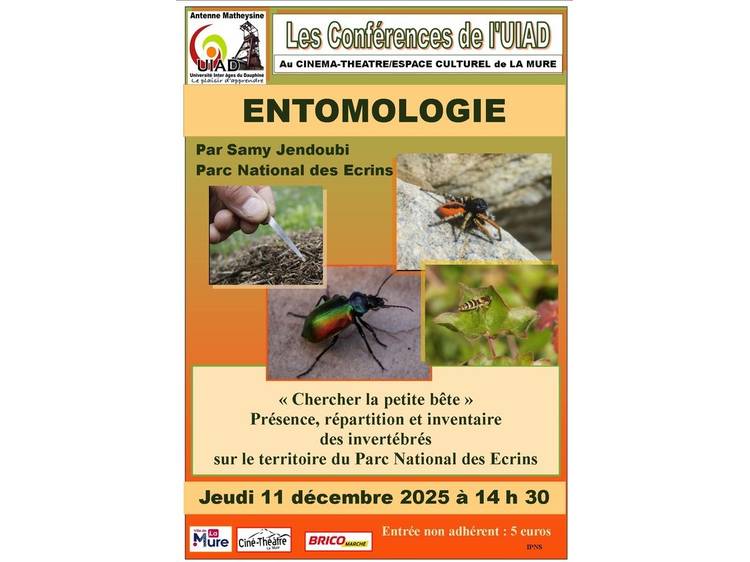 Photo 1 Entomologie :les invertébrés du Parc National des Ecrins - conférence de l'UIAD Matheysine
