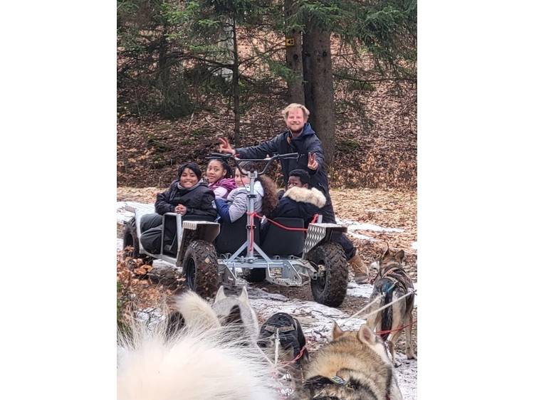 Photo 5 Chiens de traineau avec Guillaume