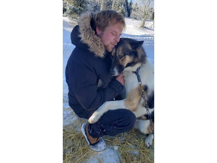 Photo 4 Chiens de traineau avec Guillaume