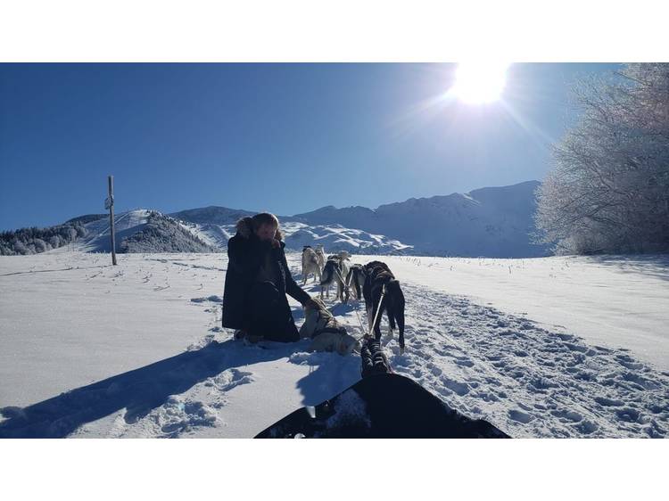 Photo 8 Chiens de traineau avec Guillaume